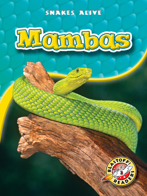 Title details for Mambas by Colleen Sexton - Available
